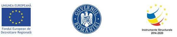 Consolidarea poziţiei pe piaţă a ROMTURINGIA SRL prin investiţii durabile
